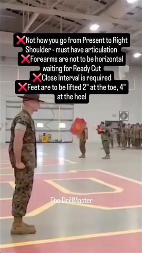 Problematic Marine Corps Color Guard - see description