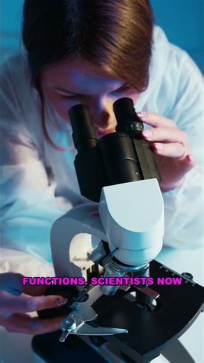 The Surprising Power of Taylor Series in Math