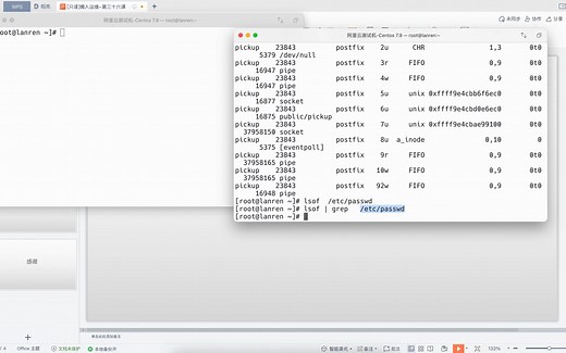linux懒人运维:lsof命令使用和脏数据清理