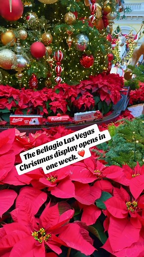 109K views · 2K reactions | Can’t wait to see what they come up With this season! | Las Vegas | Facebook