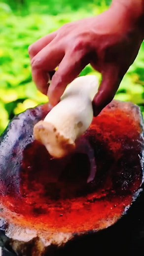 Hi guys, the random what in my last video is the gas bladder😆 someone thought it was a species of mushroom, so I roast a gas bladder-like mushroom😛