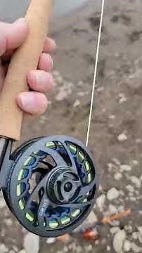 orvis Clearwater fly rod