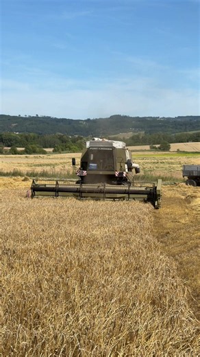 FORTSCHRITT E-516 B #fortschritt #e516 #combine #harvest #spinar24hd