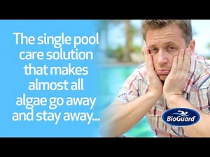 The All-Purpose, All-Type, Algae-Fighting Solution!