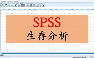 SPSS-生存分析1-Kaplan-Meier-KM生存分析-log rank检验-生存曲线-大鹏统计SPSS数据分析-SPSS统计分析实战-SPSS数据分析