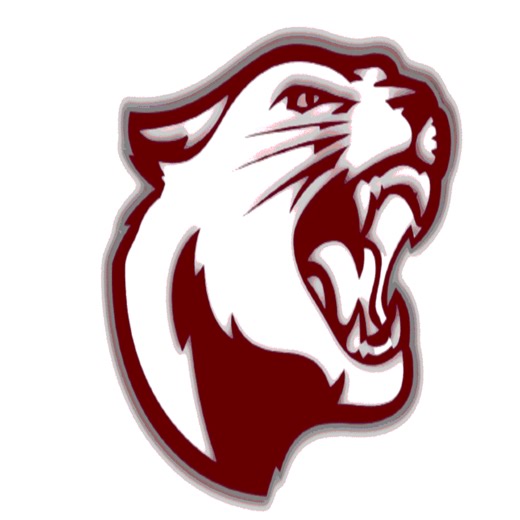 Basketball Game Preview: South Decatur Cougars vs. North Decatur Chargers