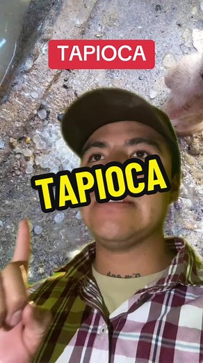 Tapioca: Farmer's Guide & Delicious Recipes