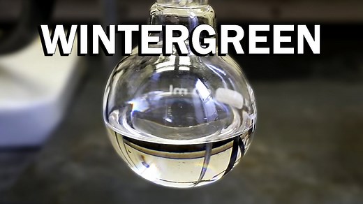 How Wintergreen Became the World’s Most Recognizable Minty Flavor