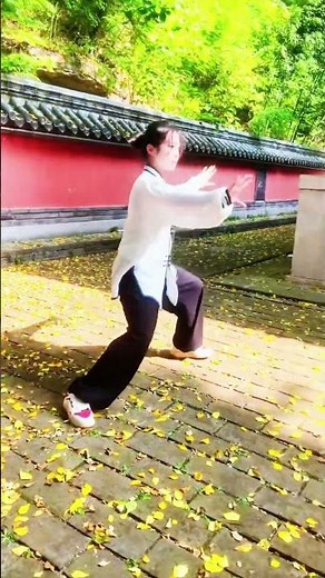 Tai Chi Warm Up Exercises for Beginners #chenstyletaiji #taichi