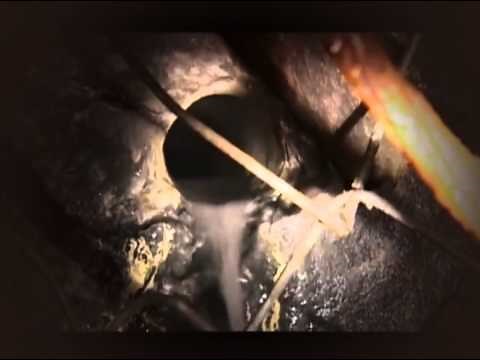 How Life Began Origins Nova Neil Degrasse Tyson HD