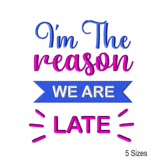 Funny Baby Machine Embroidery Design: Humorous Toddler Sports Instant Download Embroidery Files (5 Sizes) - Etsy