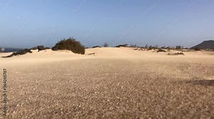 Dunas de arena se moviendo con el viento fuerte.