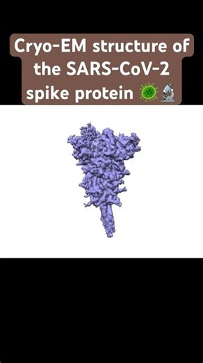 Cryo-EM structure of the SARS-CoV-2 spike protein #viralshorts #covid19