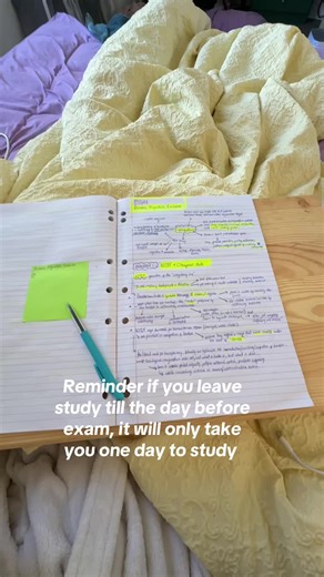 Study Tips for Last-Minute Exam Preparation