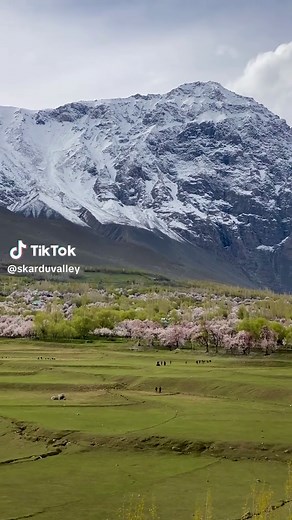 Exploring Blossom Chunda Valley in Skardu