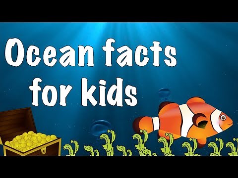 Facts about the Ocean for kids