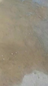 LOOK | Inside of Daniel Z. Romualdez Tacloban Airport New Terminal Building Project Update #tacloban #lovethephilippines #airport 📷 Etang Jestoni | I Love Tacloban