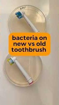Toothbrush test (+ identifying the bacteria science!)
