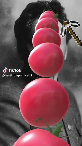 trotsky😡#socialism #leontrotsky #ussr | ussr flag