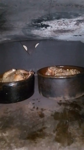 Slaughter and eat pigeons🔪😂#pigeon