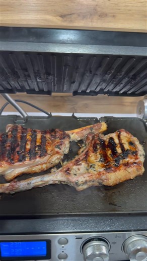 #jrt_kennel_fortuna_fox | Hanna Brusinskaya