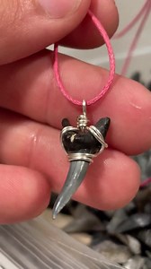 REAL Sand Tiger Shark Tooth Necklace - Etsy