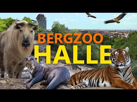 Bergzoo Halle | Zoo-Eindruck