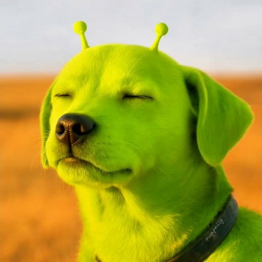 Alien Dog GoG Sing Let Me Know Song (ft Future)