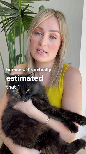 Understanding Cat Asthma: Treatment and Management