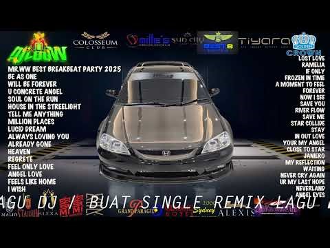 Top 5 Breakbeat Party Mixes Like FULLBASS MR.WW dj louw That You Need To Listen