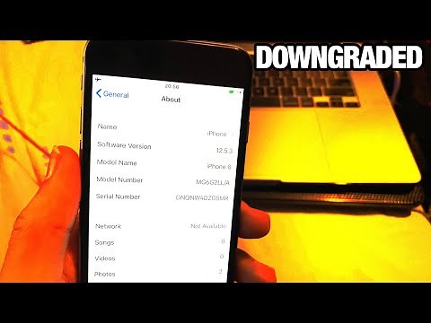 How To Downgrade iOS 12.5.4 to 12.5.3 Without Losing Data