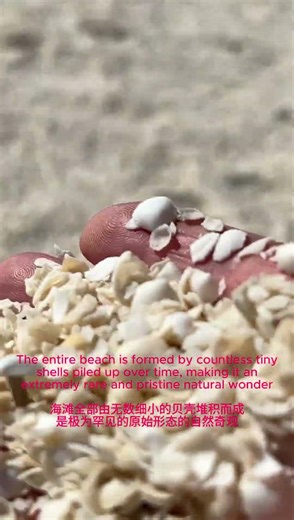 #travel #scenicviews #australia # Shell beach