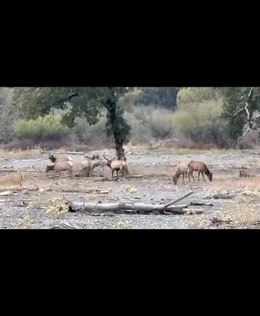 Hey Folks … Our Grassroots Save Potter Valley Water , Save Lake Pillsbury , Mendo Matters groups are making great progress, we could really use some help with contributions big , or small to save the water for 600,000 Northern Californians , our salmon , and so many beautiful species . We are working on a sign campaign, and engaging with PR help in Sonoma county . Please check out our site savepvp.org … Your kind contribution will be greatly appreciated by these beautiful creatures , join in the