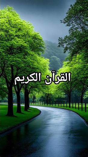 QURAN URDU TRANSLATION #love​ #quran​ #quranforeever​ #quranrecitation​ #motivation