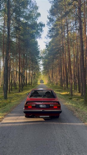 Alone in the forest with the ultimate sleeper. A 605hp 2.2T 5cyl swapped 1984 Audi 80 quattro. THIS is Audi. #audi #asmr #speakupforaudi | Auditography - Unique Audi photography