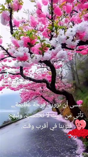 فيديوهات أنشأها حلا(: (@xds_2) باستخدام الصوت الأصلي - M🗡️ ASRAN