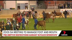 DEVELOPING: The threat of foot and mouth disease has authorities discussing possible restrictions at South Australian zoos and wildlife parks. 7NEWS Adelaide at 6pm | www.7NEWS.com.au #7NEWS | 7NEWS Adelaide