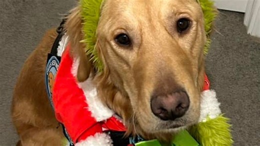 Chaos the Christmas dog brings holiday cheer to storm-affected Sagadahoc County residents