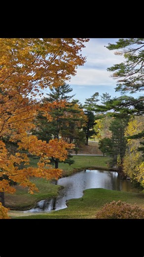All natural ingredients for you best health. Swish a teaspoon full under your tongue and you can feel your best self. No nasty tasting shakes or huge pills to swallow! | Barbara Ann Fearon