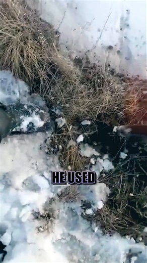 Man Risks It All to Save a Trapped Deer Sometimes courage means letting nature take a small fall to rise again. #ViralRescue #AnimalHeroes #WildlifeMoment #NatureWins #HeartwarmingReel | Animal Kingdom Stories