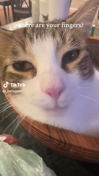 Unexpected Humor: Where Are Your Fingers?