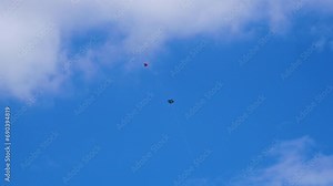 Two kites fighting aggressively with each other, kites gliding, swinging and fast movements in the blue sky with clouds Stock Video