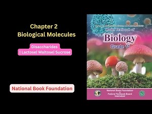 Disaccharides| Lactose| Maltose| Sucrose | Class 11 Biology| Chapter 2| NBF