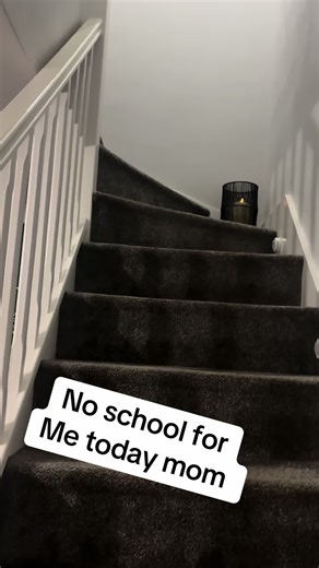 Understanding a Labrador's School Day Mood