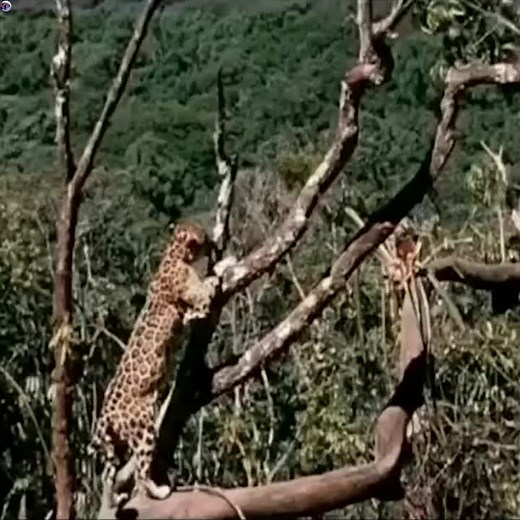 חשבונות מוצעים