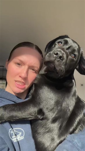 Enjoying the Sunshine with My Puppy