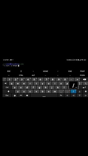whois command explaination #curl #cybersecurity #linuxcommands #hackingbasics