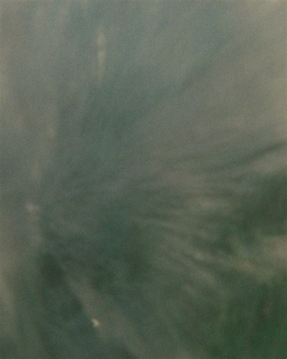 Go Full Speedo. Life’s too short for half measures | Speedo