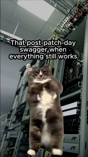 Patch Day #networking