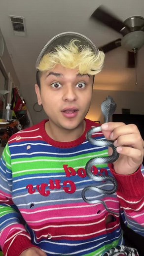 Growing a Snake in my bathtub! 🐍🛁 I hope nobody opens the bathtub curtains! 😅 #watertoys #growtoys #watergrowingtoys #blacksnake #grow #magic #snake #aquarium #babysnake #experiment #project #creatures #brandyrose